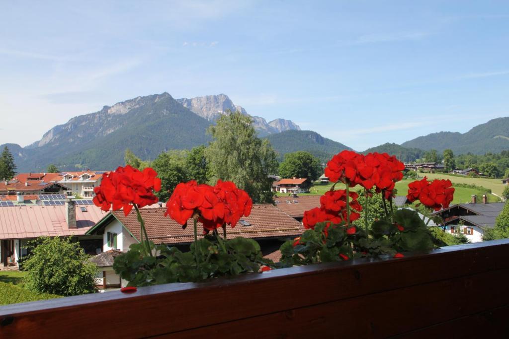布痕瓦尔德睡眠女巫酒店 Schönau am Königssee 外观 照片